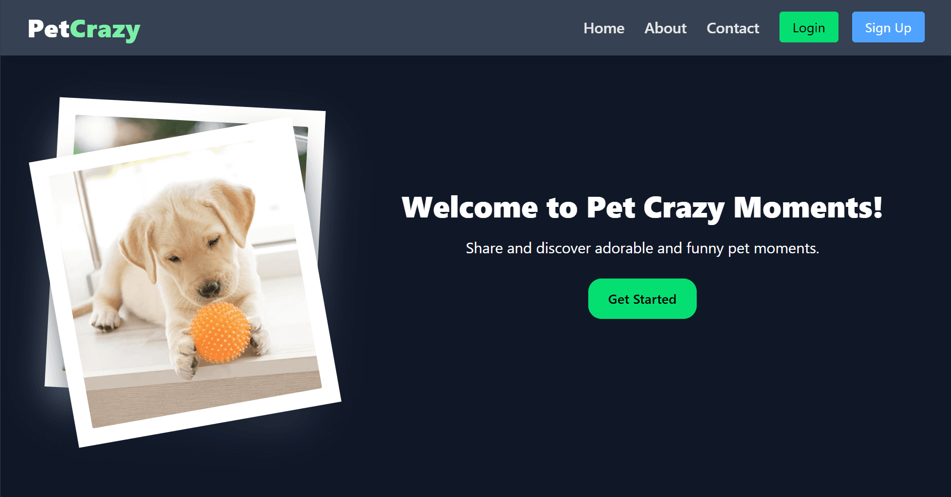 PetCraze – project by Bhavdeep Sai